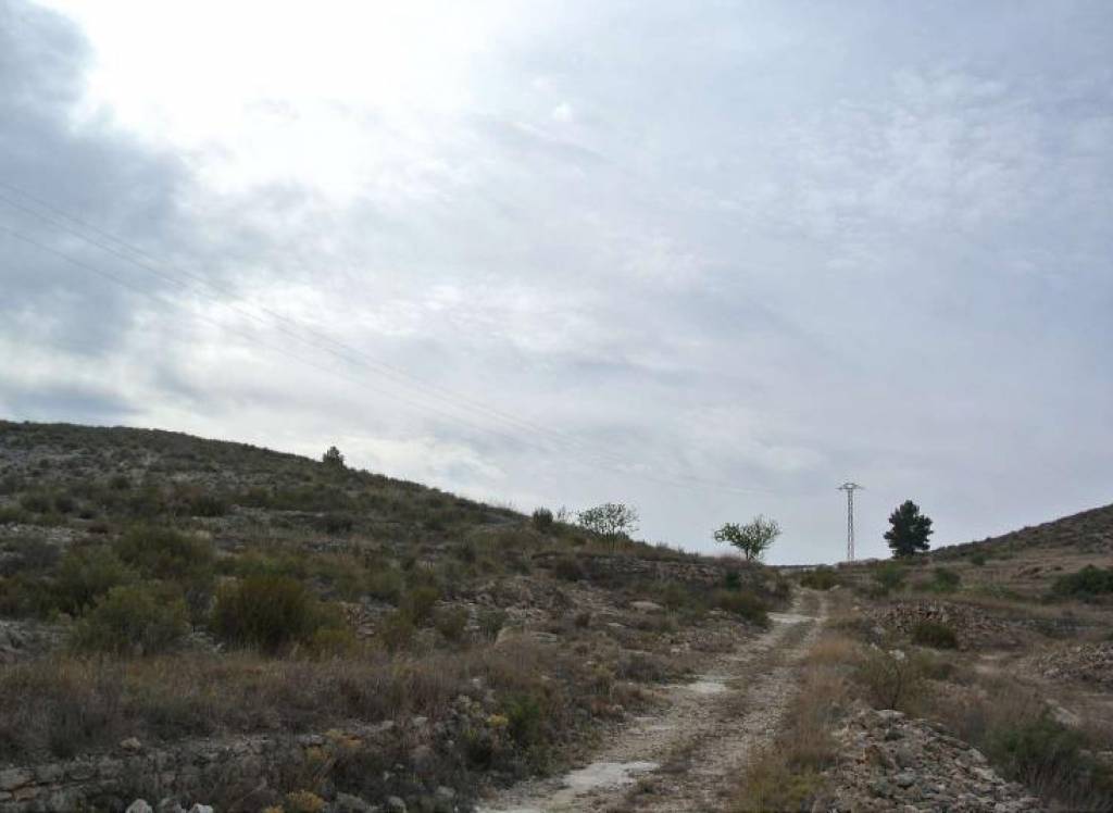 Resale - Land - Jumilla - Rural location