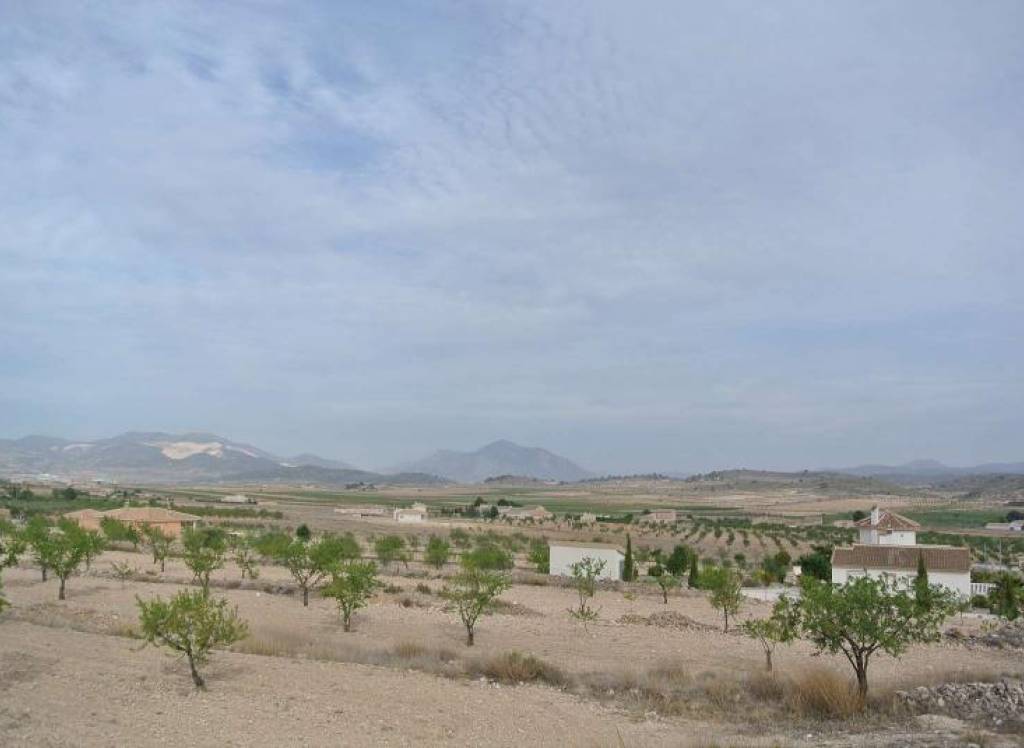 Resale - Land - Jumilla - Rural location