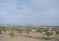 Resale - Land - Jumilla - Rural location