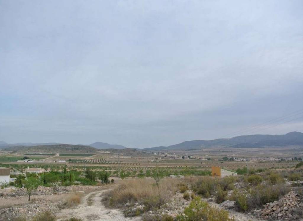 Resale - Land - Jumilla - Rural location