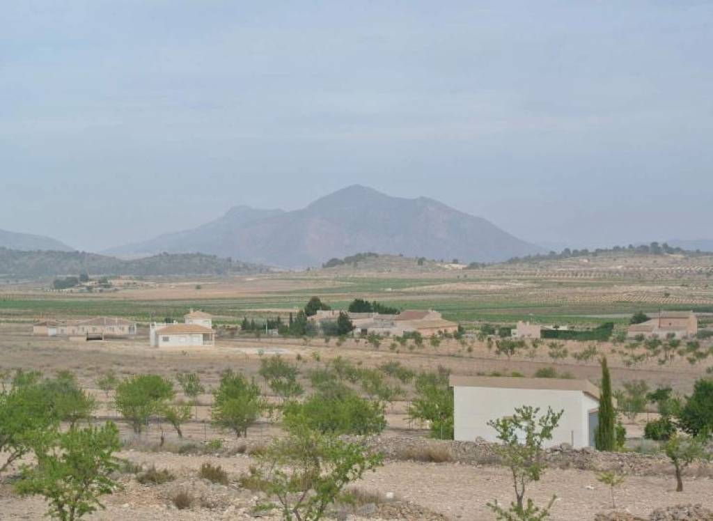Resale - Land - Jumilla - Rural location