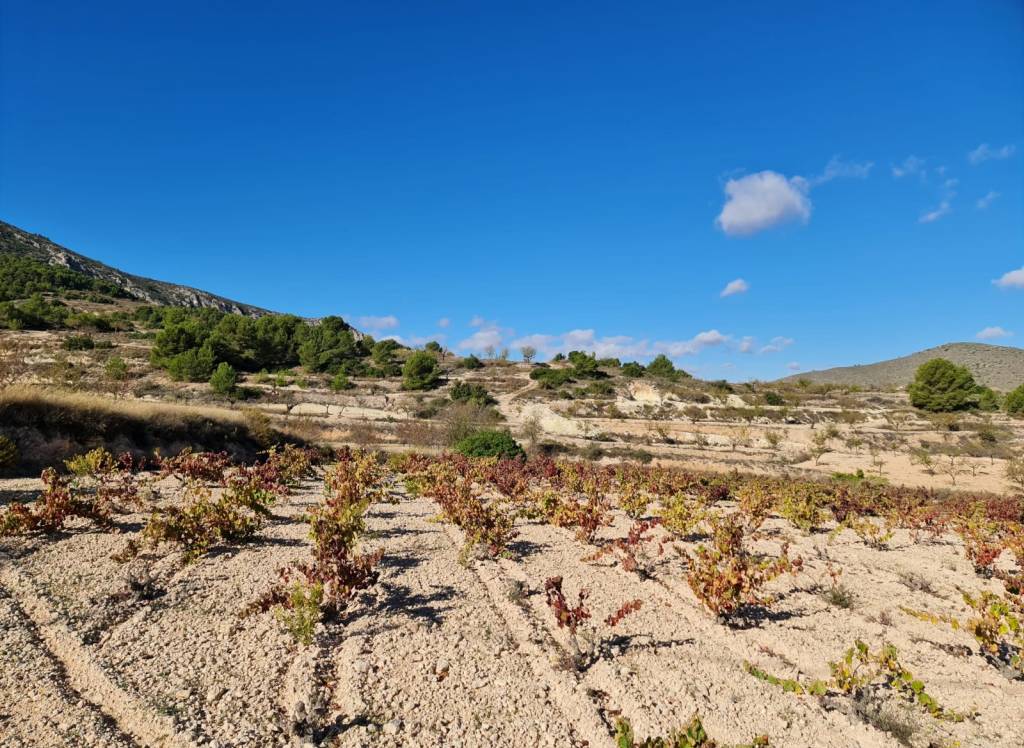 Resale - Land - La Romana - Rural location