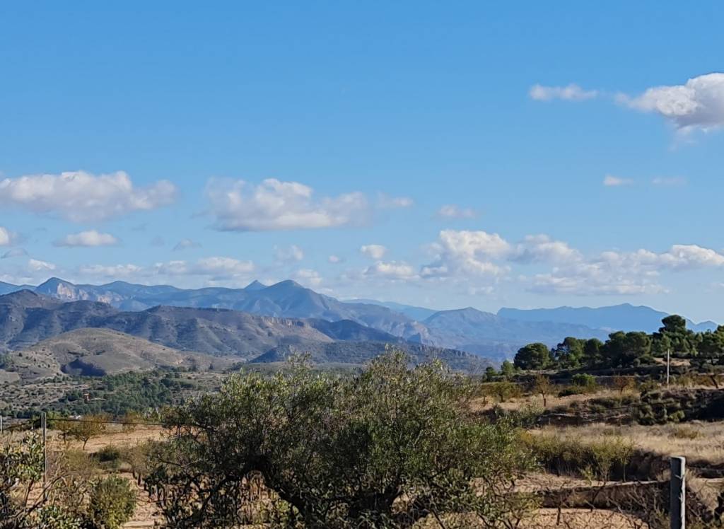 Resale - Land - La Romana - Rural location