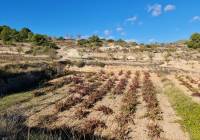 Resale - Land - La Romana - Rural location