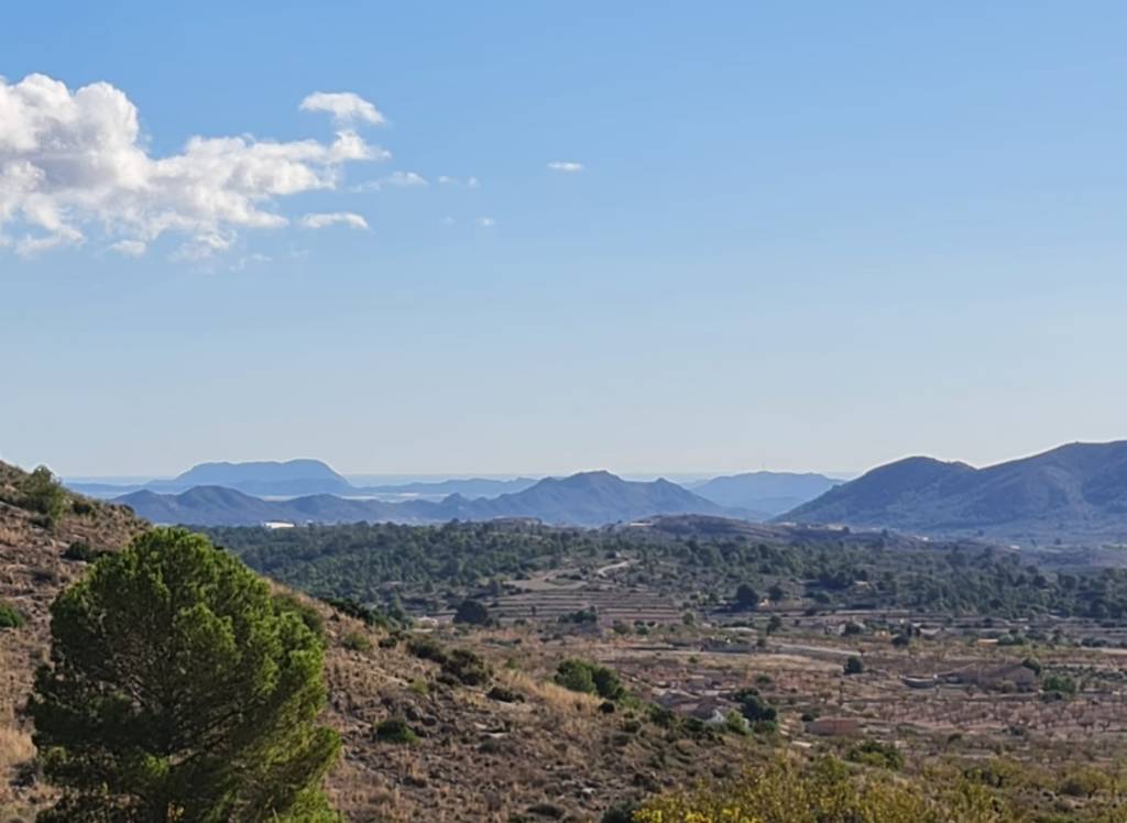 Resale - Land - La Romana - Rural location