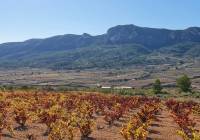 Resale - Land - La Romana - Rural location