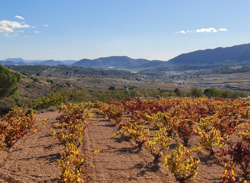 Resale - Land - La Romana - Rural location