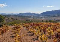 Resale - Land - La Romana - Rural location