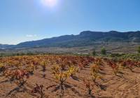 Resale - Land - La Romana - Rural location