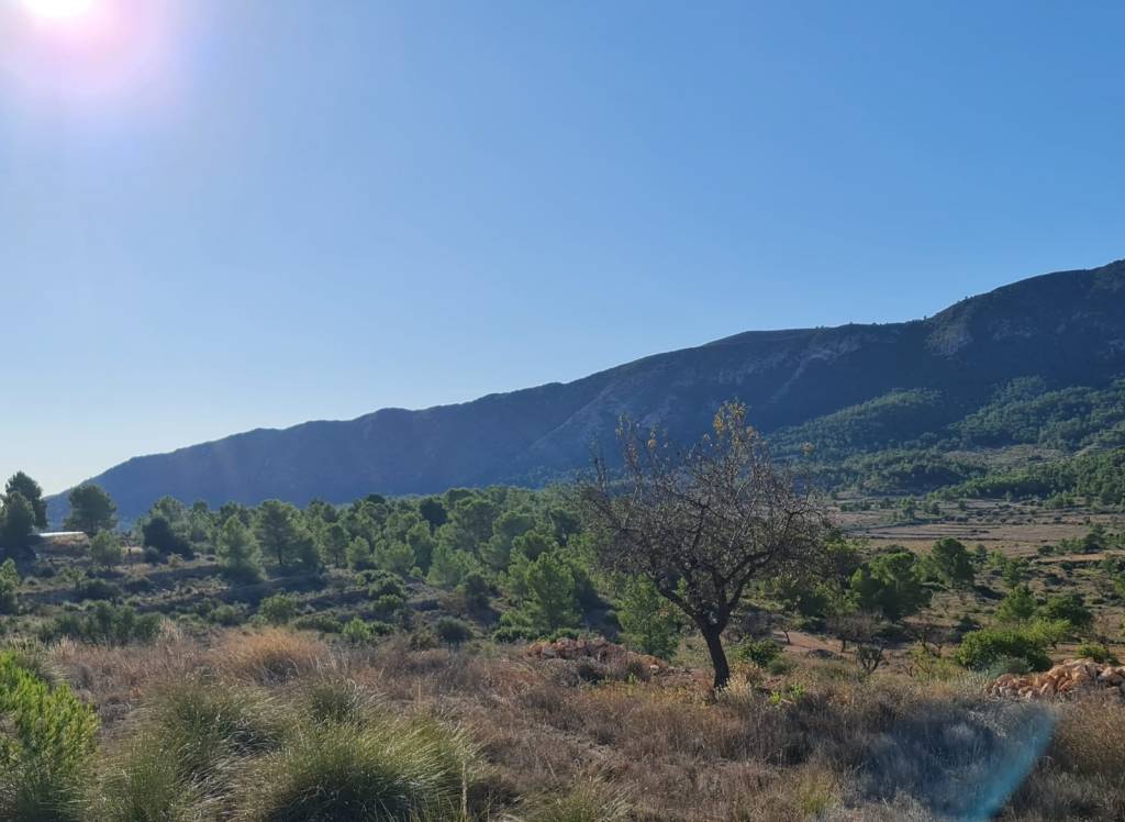 Resale - Land - La Romana