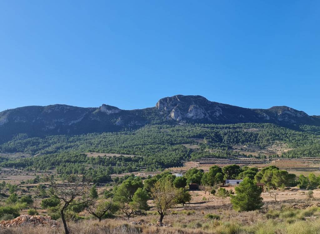 Resale - Land - La Romana