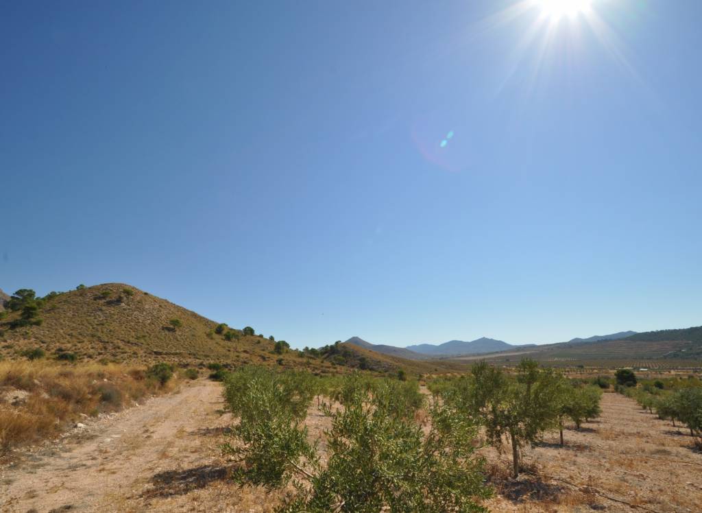 Resale - Land - Macisvenda - Rural location