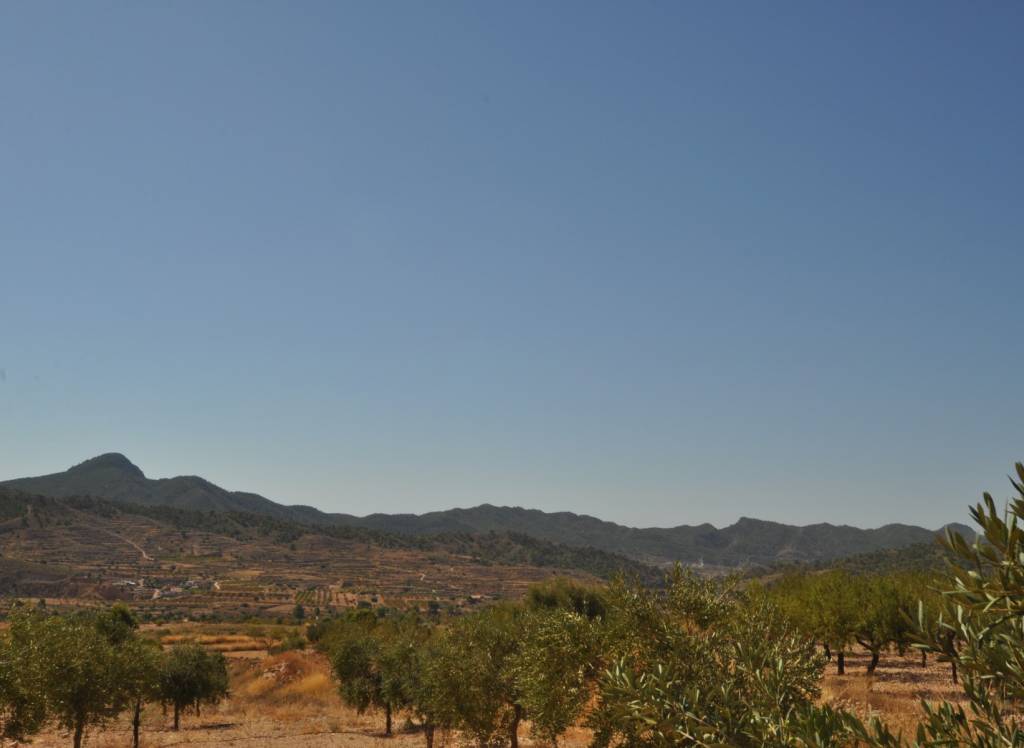 Resale - Land - Macisvenda - Rural location