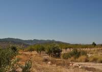 Resale - Land - Macisvenda - Rural location