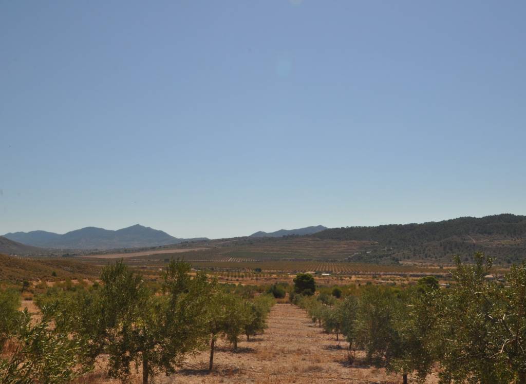 Resale - Land - Macisvenda - Rural location