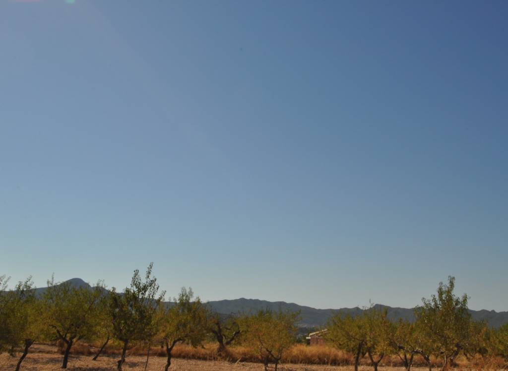 Resale - Land - Macisvenda - Rural location