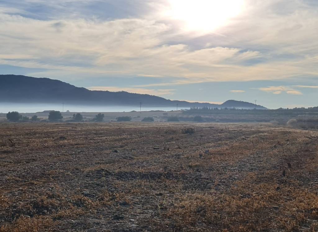 Resale - Land - Monóvar/Monóver - Monovar