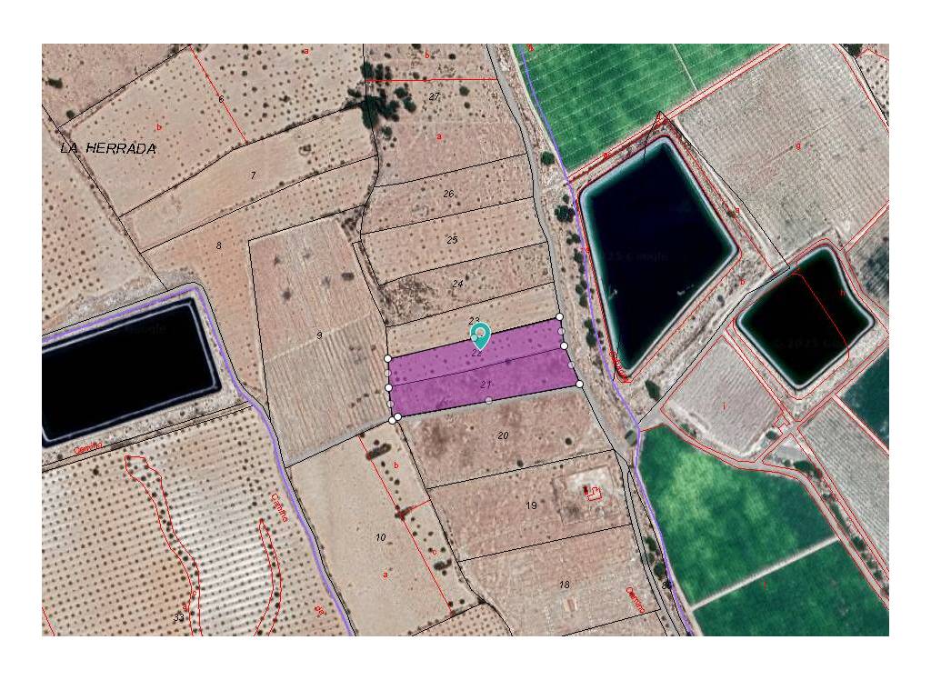 Resale - Land - Monovar - Rural location