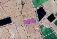 Resale - Land - Monovar - Rural location