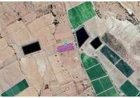 Resale - Land - Monovar - Rural location