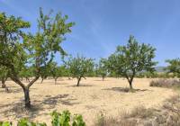 Resale - Land - Monovar - Rural location