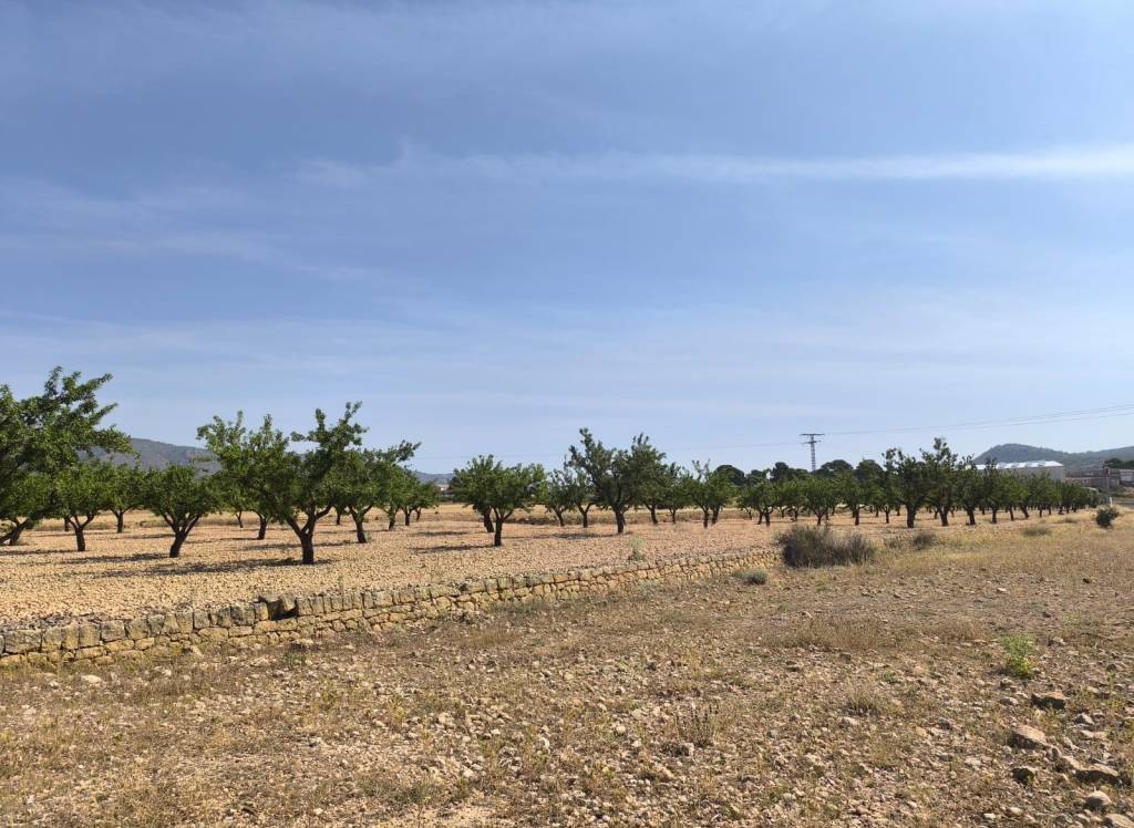 Resale - Land - Monovar - Rural location