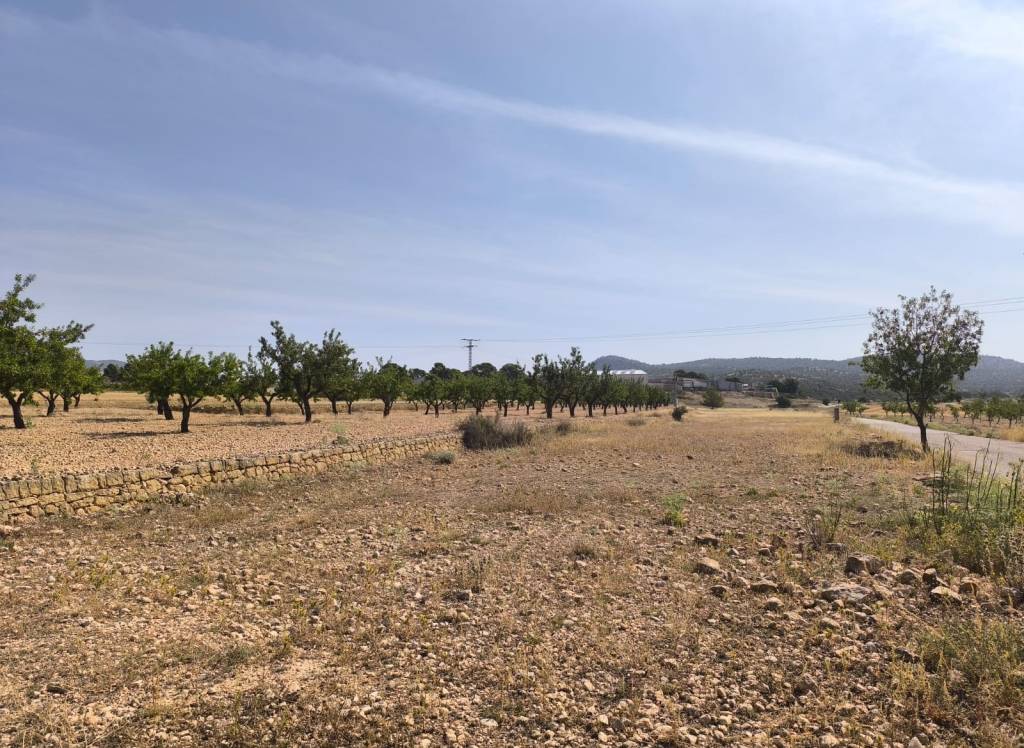 Resale - Land - Monovar - Rural location