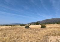 Resale - Land - Monovar - Rural location
