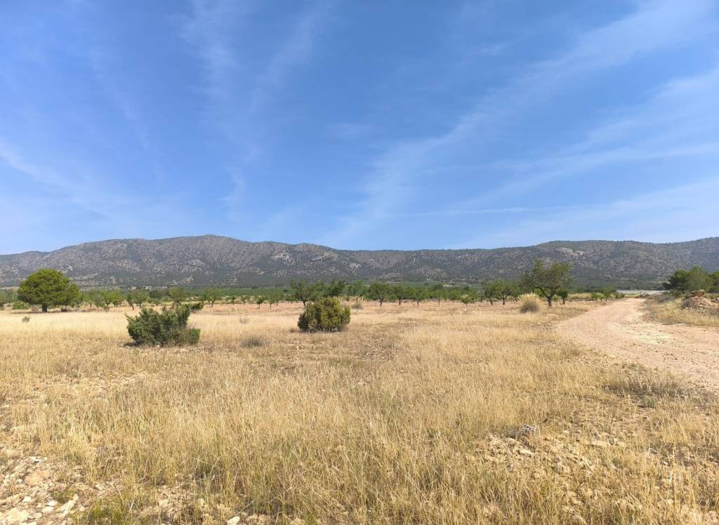 Resale - Land - Monovar - Rural location