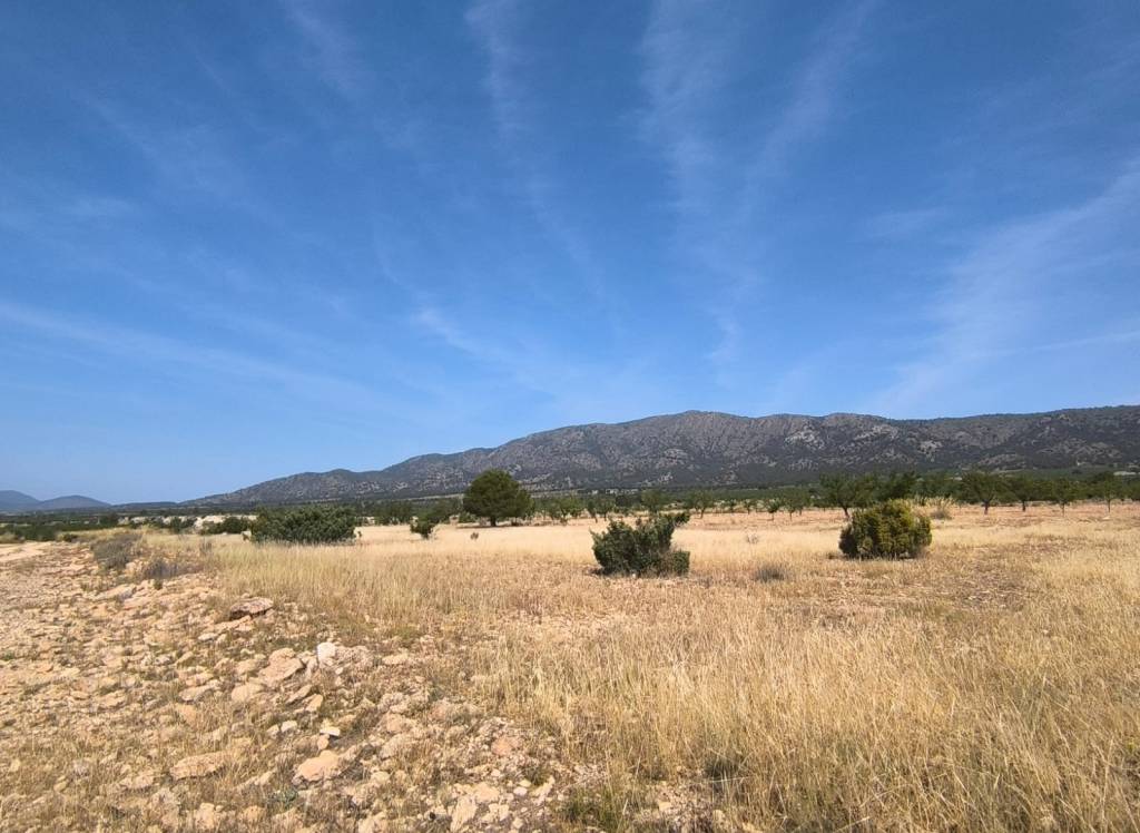 Resale - Land - Monovar - Rural location