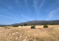 Resale - Land - Monovar - Rural location
