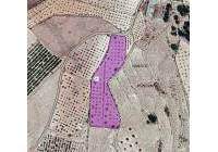Resale - Land - Monovar - Rural location