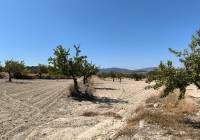 Resale - Land - Monovar - Rural location