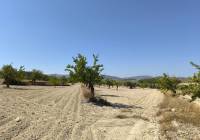 Resale - Land - Monovar - Rural location
