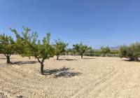 Resale - Land - Monovar - Rural location