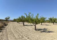 Resale - Land - Monovar - Rural location