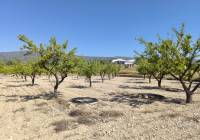 Resale - Land - Monovar - Rural location