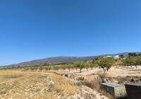 Resale - Land - Monovar - Rural location