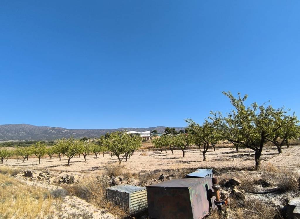 Resale - Land - Monovar - Rural location