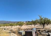 Resale - Land - Monovar - Rural location