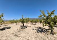 Resale - Land - Monovar - Rural location