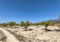 Resale - Land - Monovar - Rural location