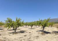 Resale - Land - Monovar - Rural location