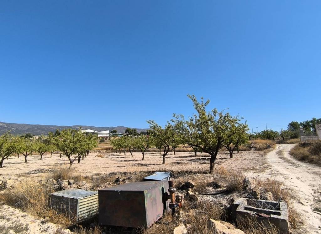 Resale - Land - Monovar - Rural location