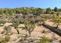 Resale - Land - Monovar - Rural location