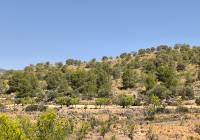 Resale - Land - Monovar - Rural location