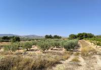 Resale - Land - Monovar - Rural location