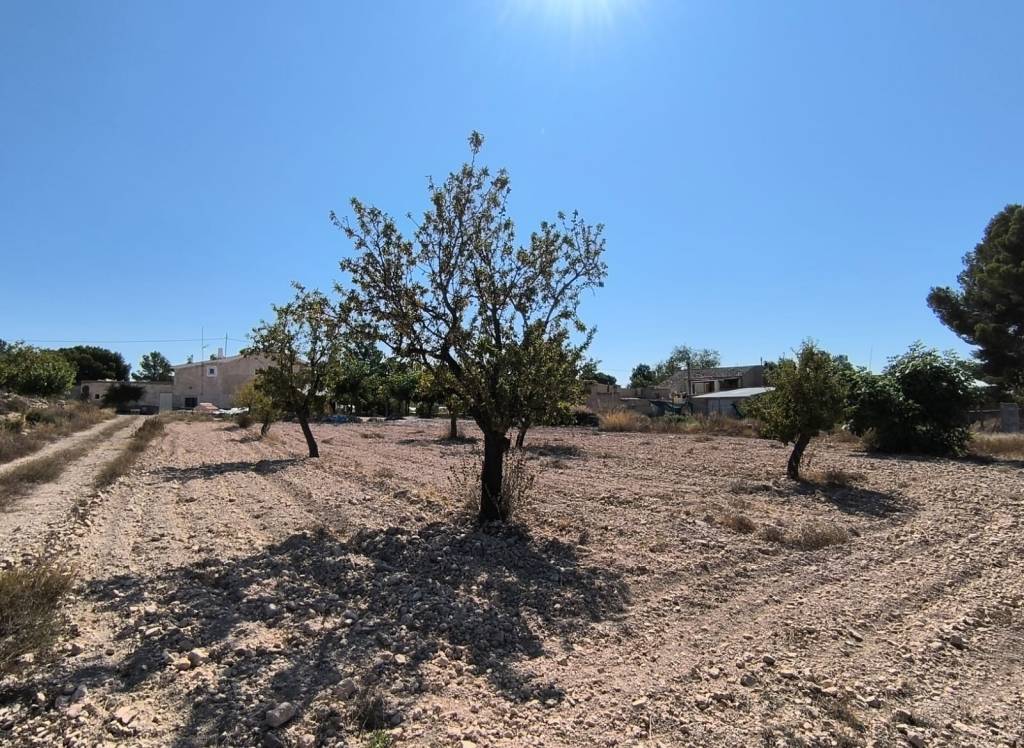 Resale - Land - Monovar - Rural location