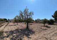 Resale - Land - Monovar - Rural location