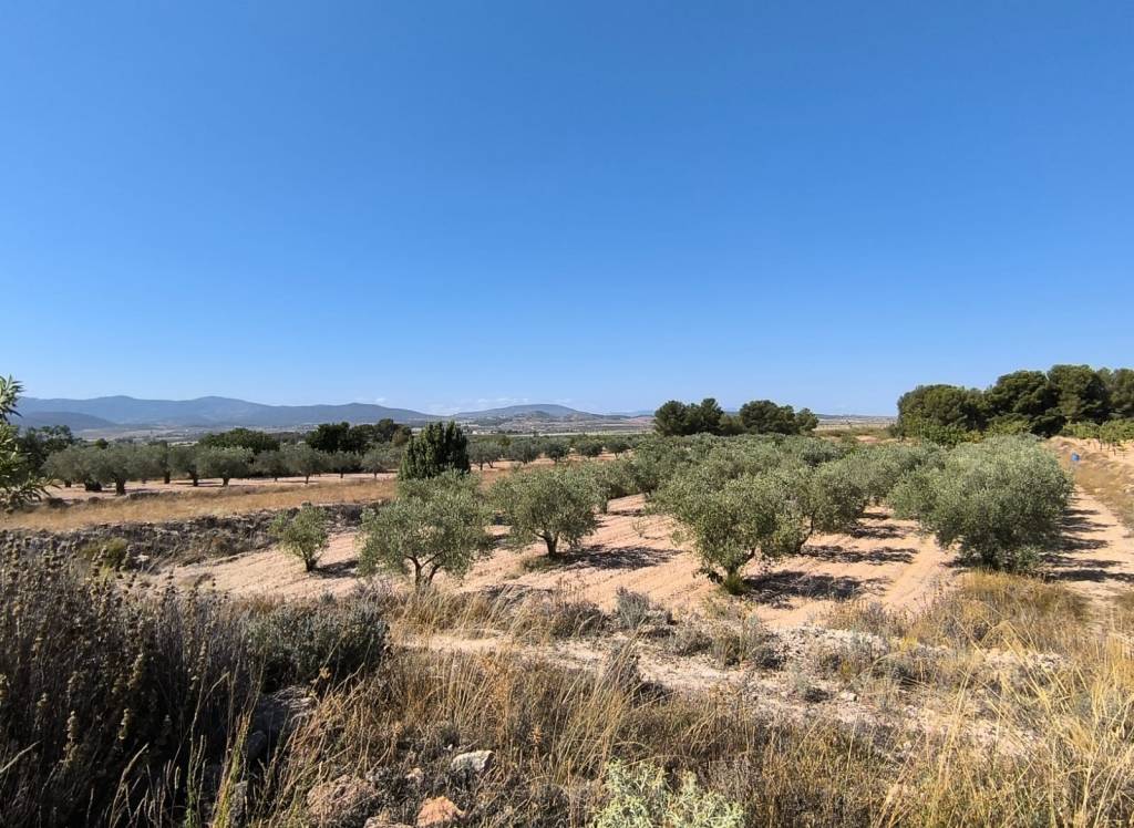 Resale - Land - Monovar - Rural location